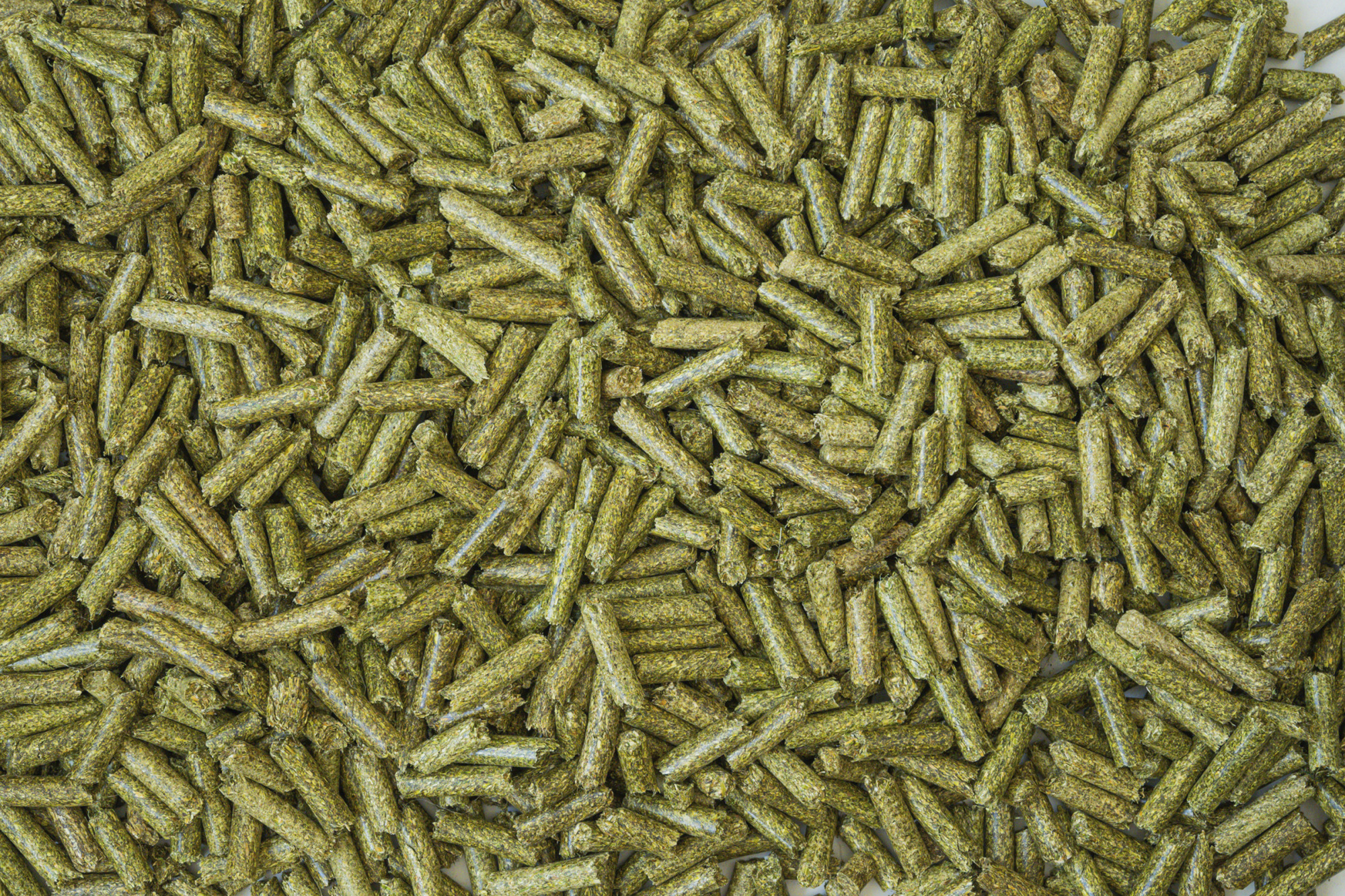 Alfalfa Close-up, Horizontal Orientation, Alfalfa Granules