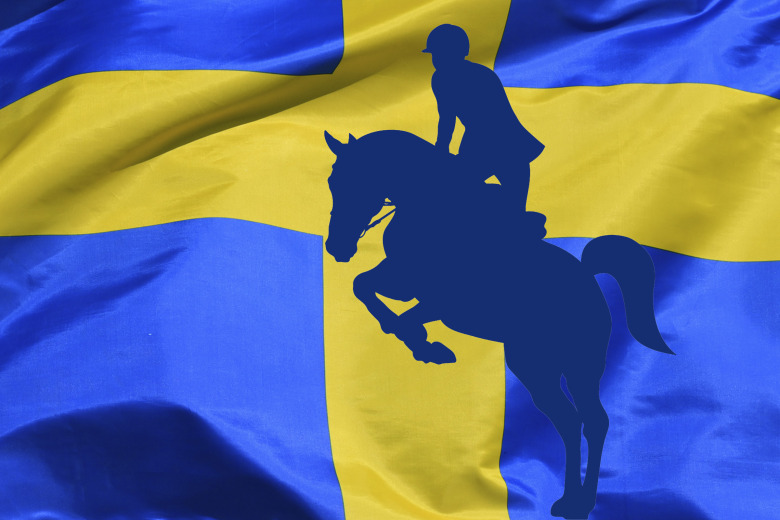 Christel Behrmann: ”Låt svenskfödda hästar hamna hos svenska ryttare”