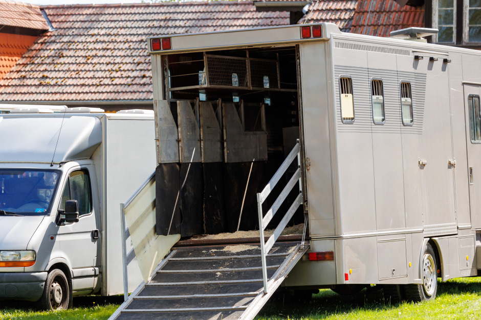 Hästtransport fick taket avslitet – körde under bro