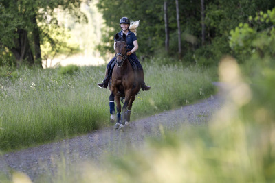 35-årige Zeus rids fortfarande varje dag: ”Jag tror att han skulle bli ledsen om han blev helt avställd”