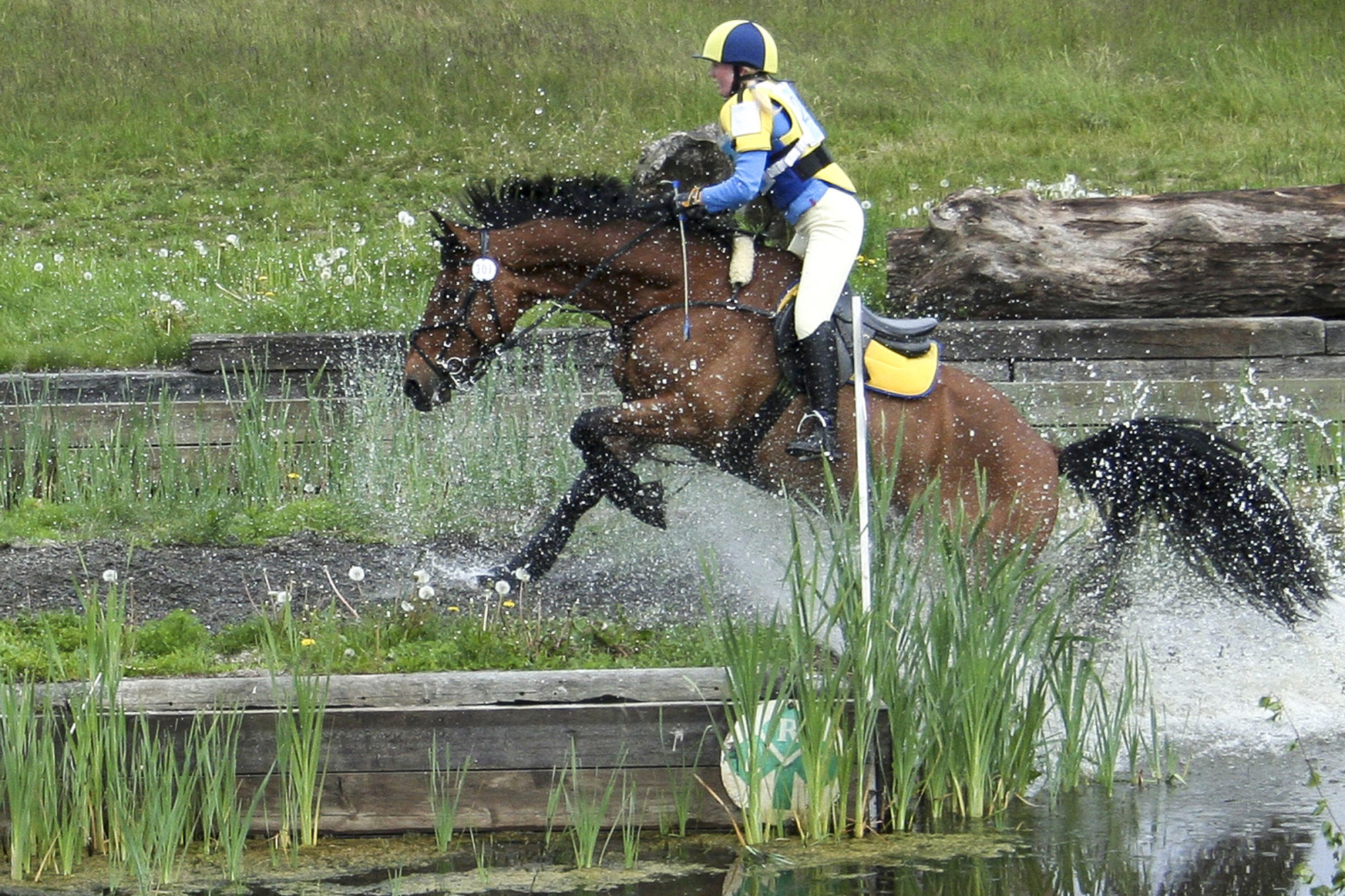 Linda Carlsson Och Zeus Fälttävlan Foto Bengt Holmgrene