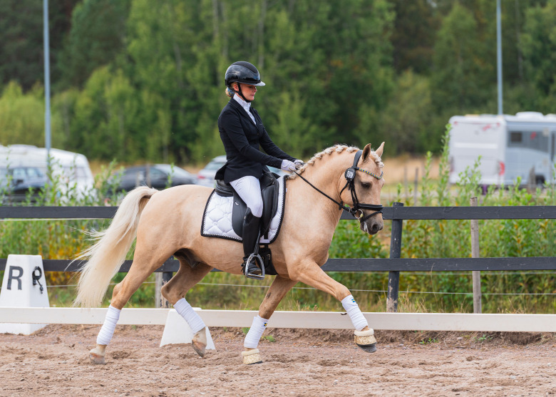 Svensk ponnydressyrs framtidsstjärnor klev fram – här är alla vinnarna