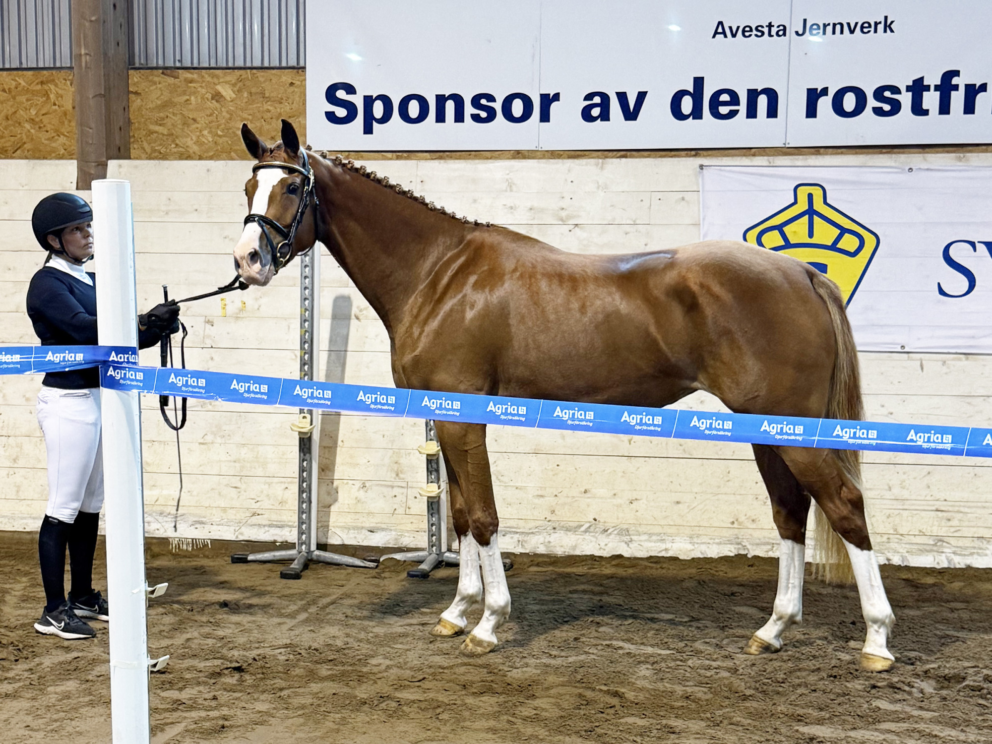 Quriux Hpnothea Foto Klara Johansson
