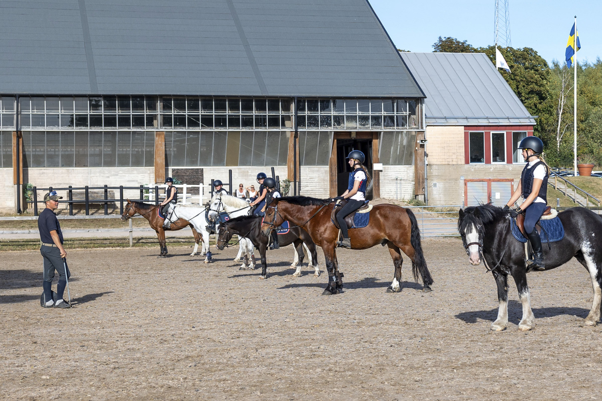 Ridskola Stall H&auml;st Ungdomar Halmstads F&auml;ltrittklubb Fj-3195