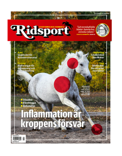 Ridsport nr 12/2026