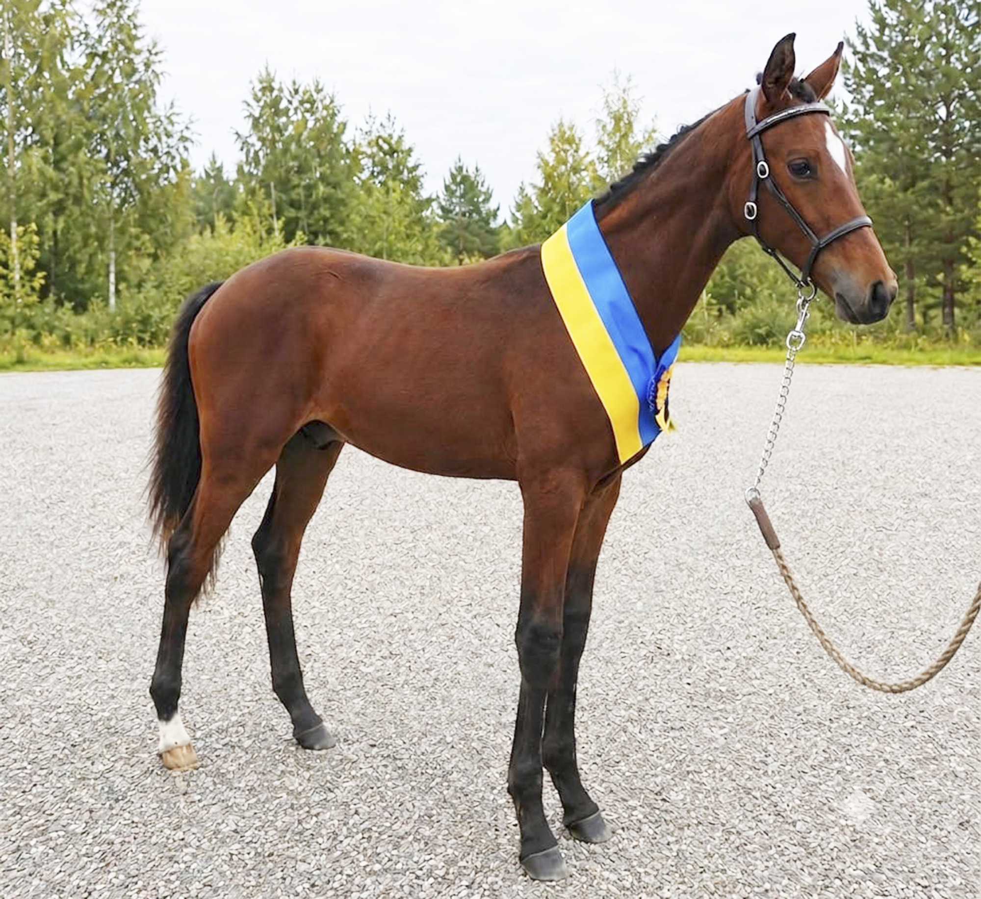 Sp Florian