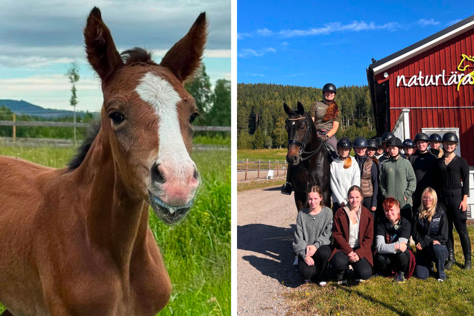Studentbloggen blev en vlogg: Morgonhacket, de ratade höpåsarna och kärleken till maskiner