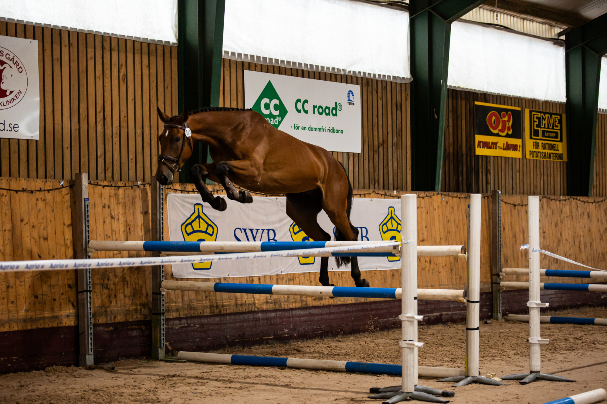 Tattoo Foto Josefine Friberg Jfequestrian