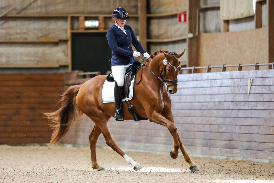 Öppnare dörr till Breeders gjorde susen för ridhästtesterna