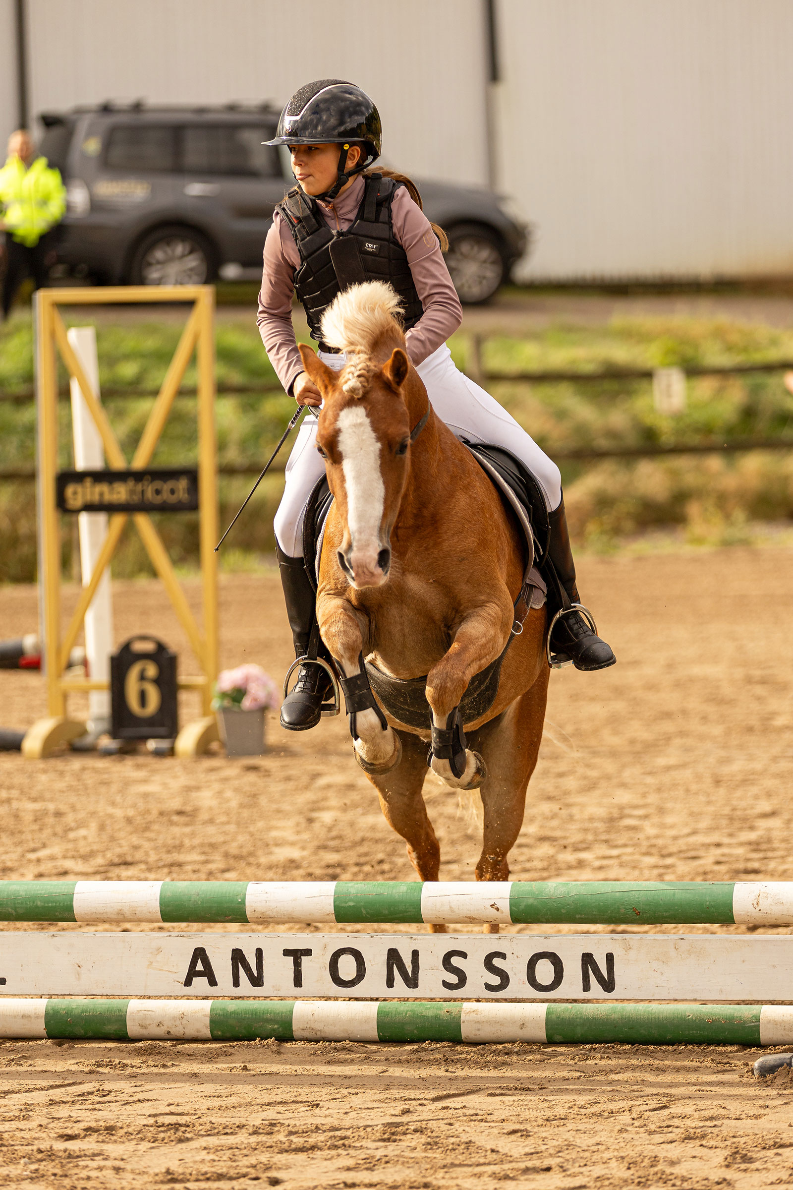 Alicia_wallin_halsring