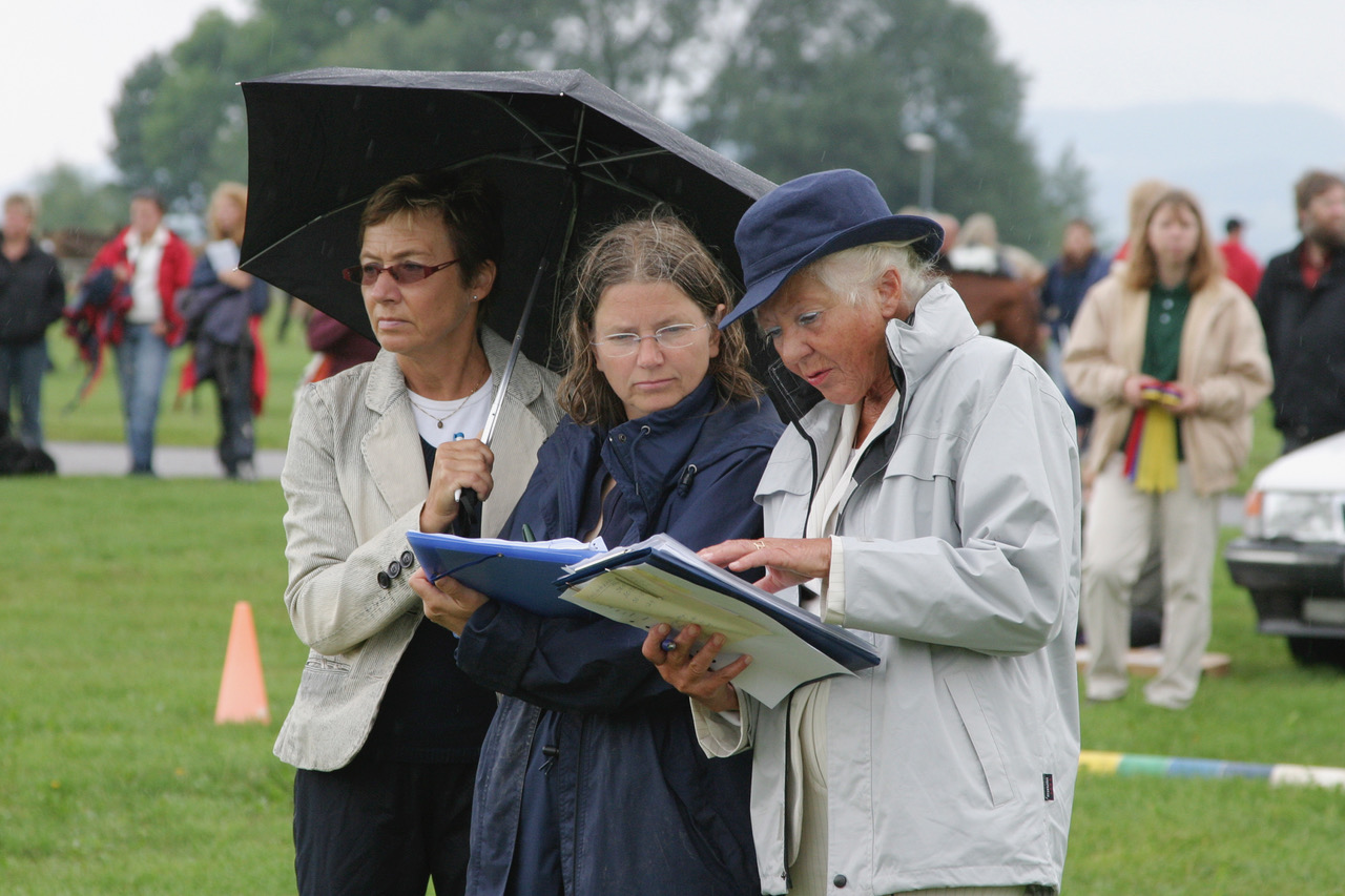 Anglo-riks 2006 Domare
