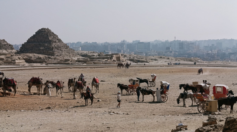 Kritiken fick verkan – LGCT ska hjälpa hästar i Egypten