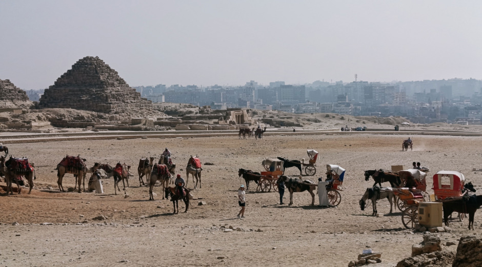 Kritiken fick verkan – LGCT ska hjälpa hästar i Egypten