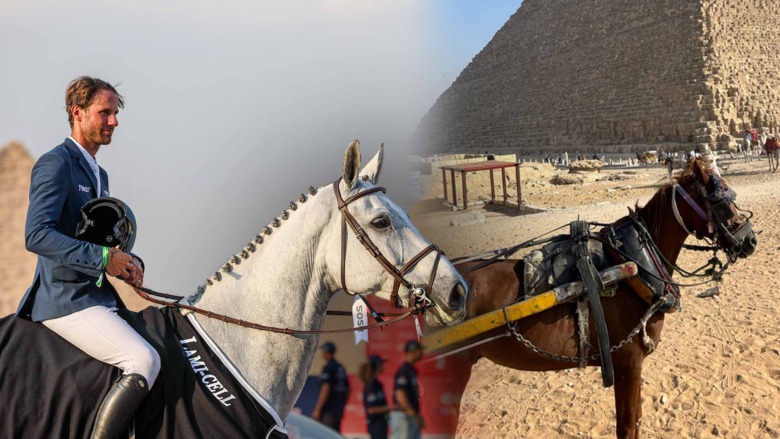 Kritik mot hästhållningen när GCT kommer till Egypten