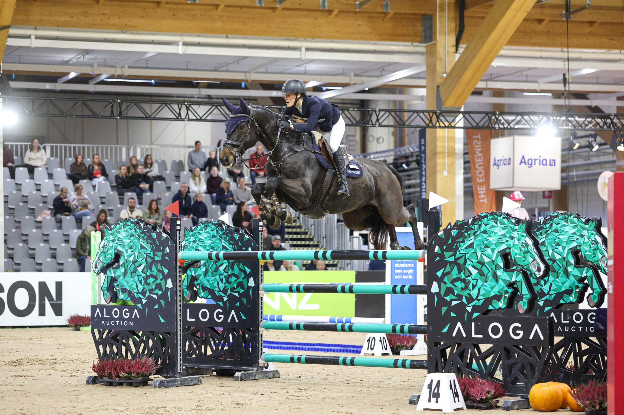Ella L&ouml;fqvist - Linus (swb) Fj-0493