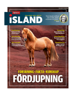 Ridsport ISLAND 1/2026