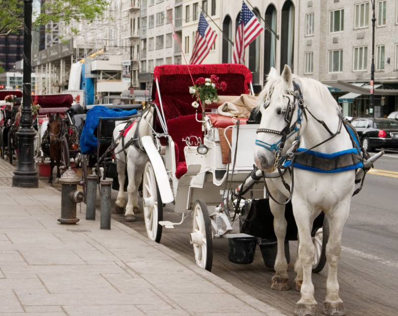 New York på väg att förbjuda häst och vagn