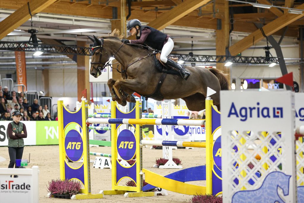 Malin Baryard - Johnsson - Ccstud's Liisolde (swb) 2