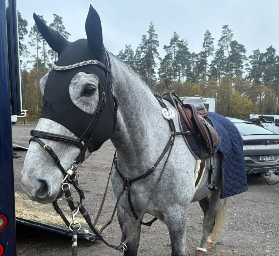 Fastnade över bommen: ”Han gled ut som spagetti”