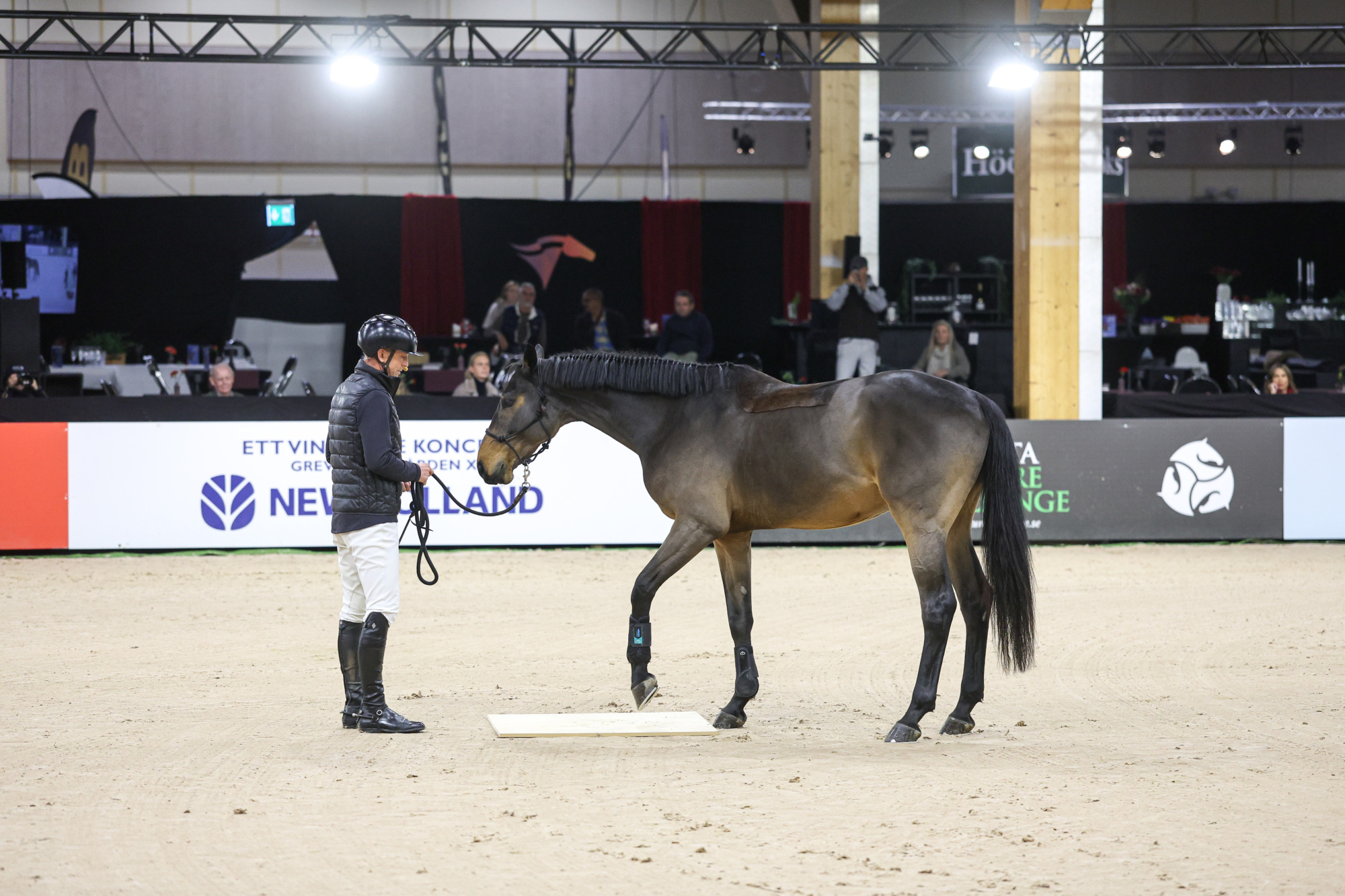 Peder Fredricson Clinic Jönköping Horse Show-1451