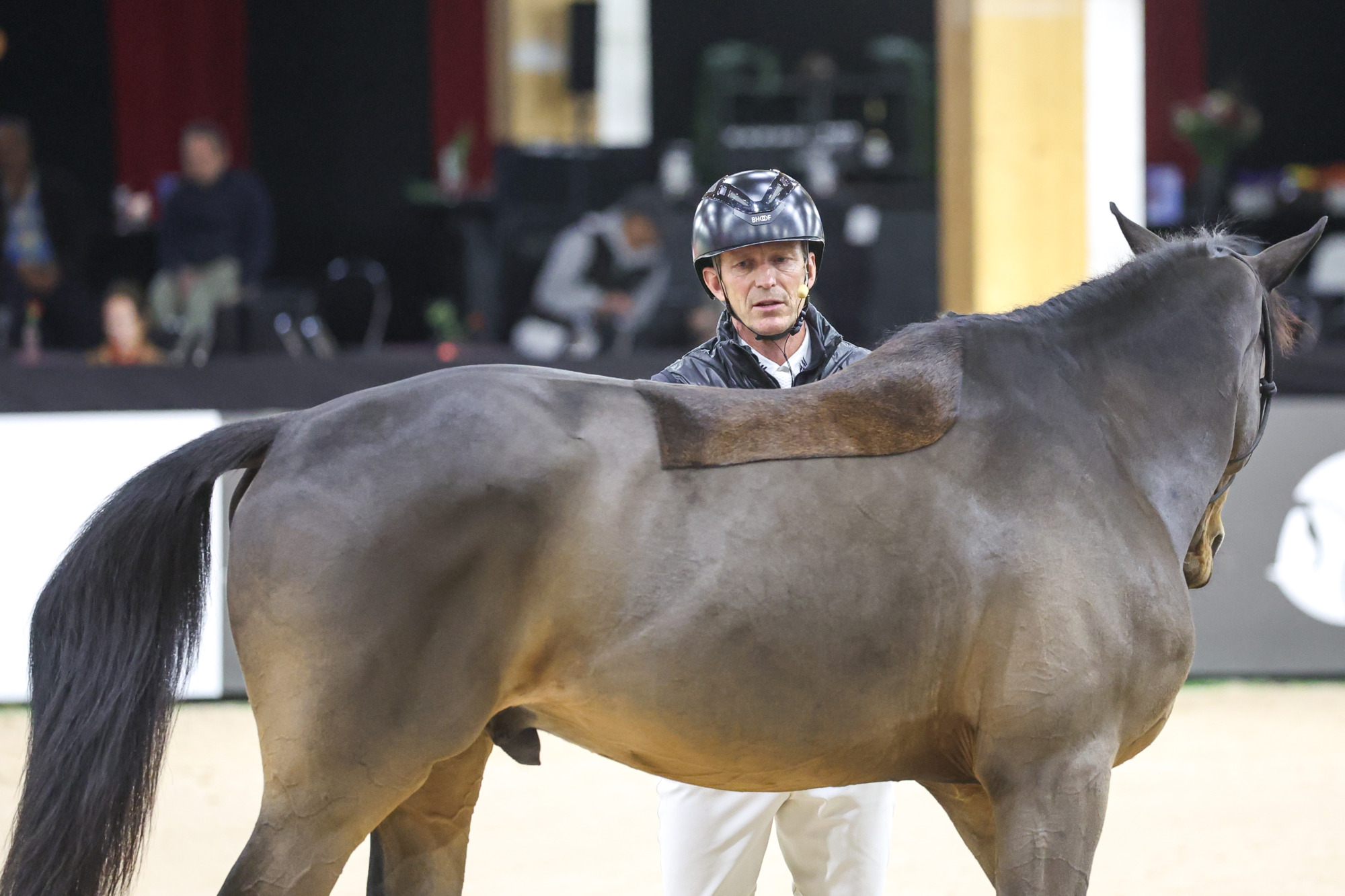 Peder Fredricson Clinic Jönköping Horse Show-1486