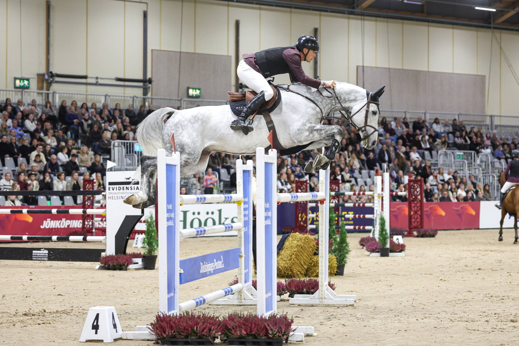 Peder Fredricson - Iggy Fj-8954
