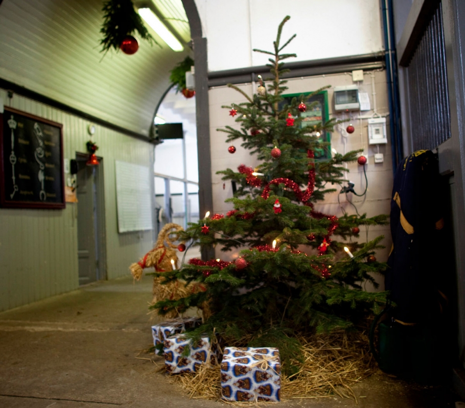 Gör du julfint i stallet?