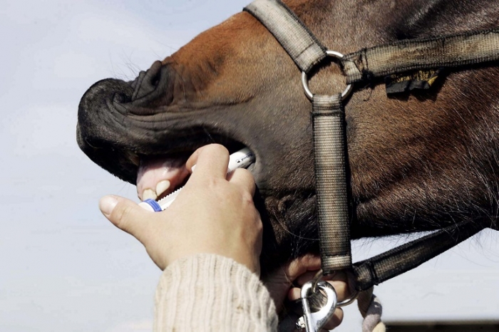 Bandmask vanligt vid kolik