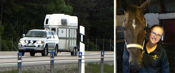 Jourveterinären svarade inte när olyckan var framme