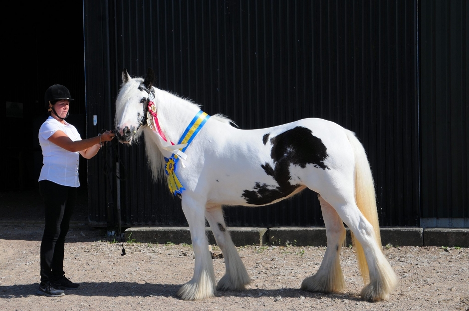 Ljus framtid med fina tinker