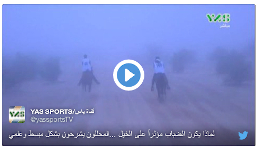 Nya dödsfall inom distansen