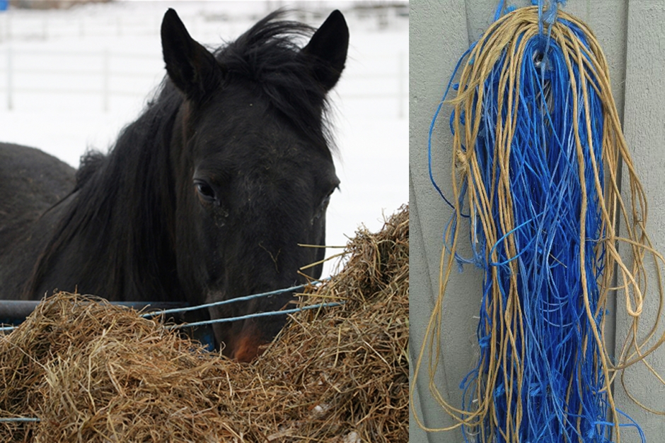 Balsnörena som blev inredning