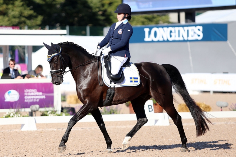 De rider EM i paradressyr