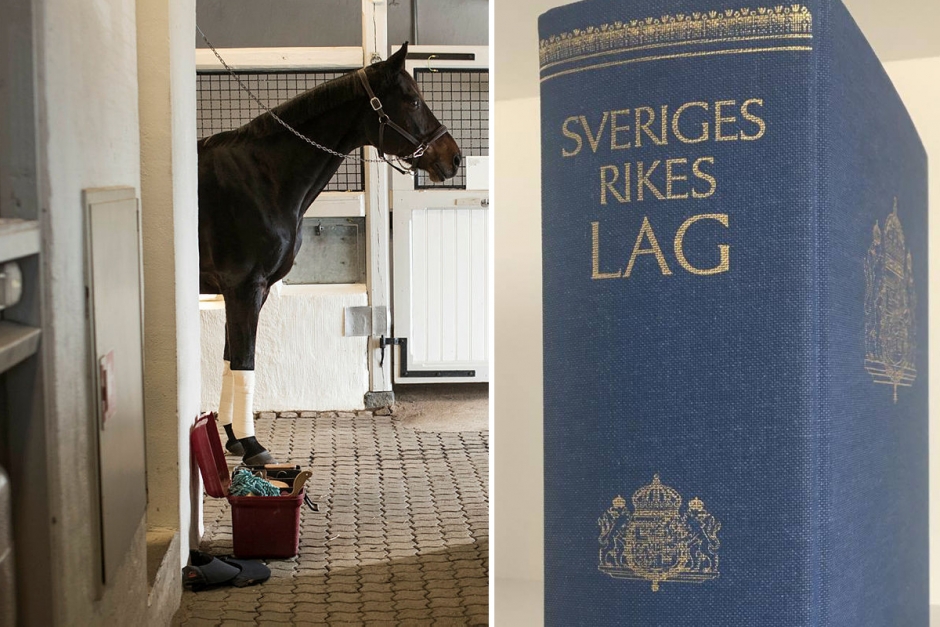 Juristen: ”Då är det lagligt att säga upp en inackordering”