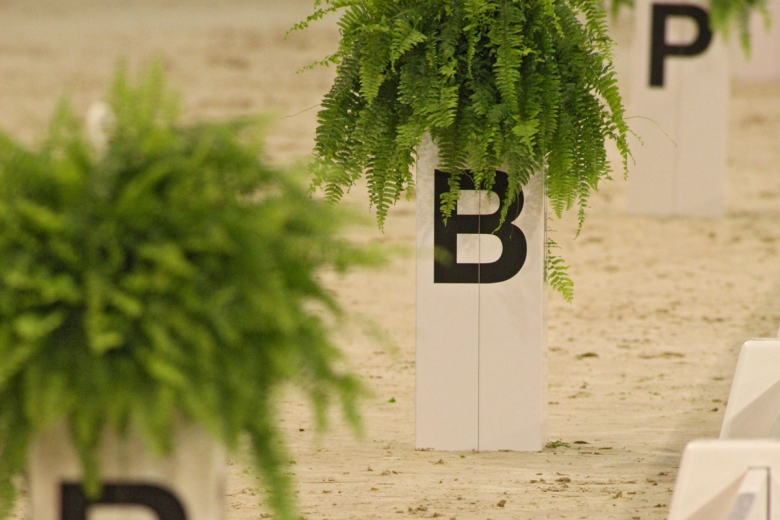 Dressyrens tävlingsreglemente klart