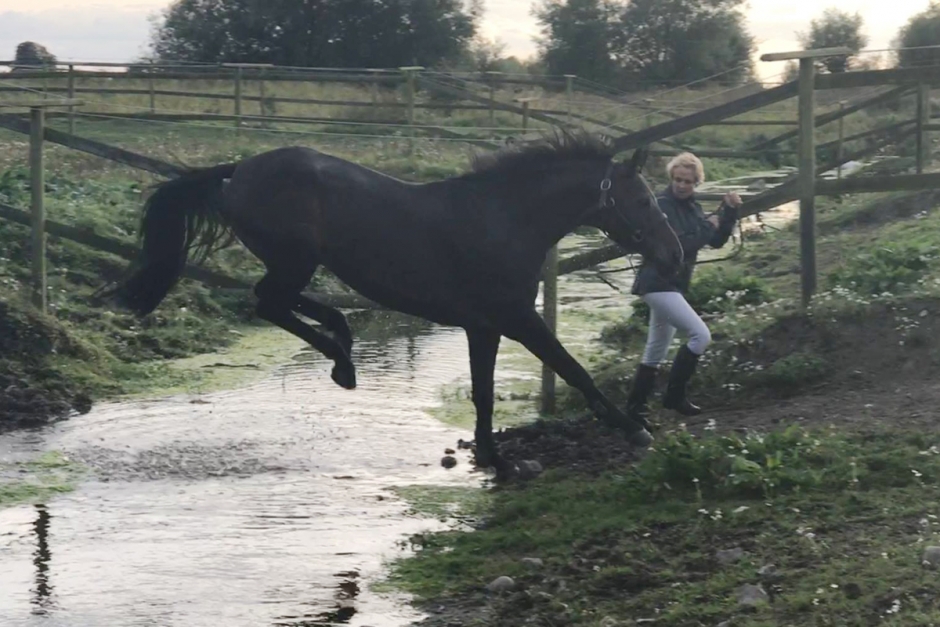 Singular hemma hos Maria Gretzer igen