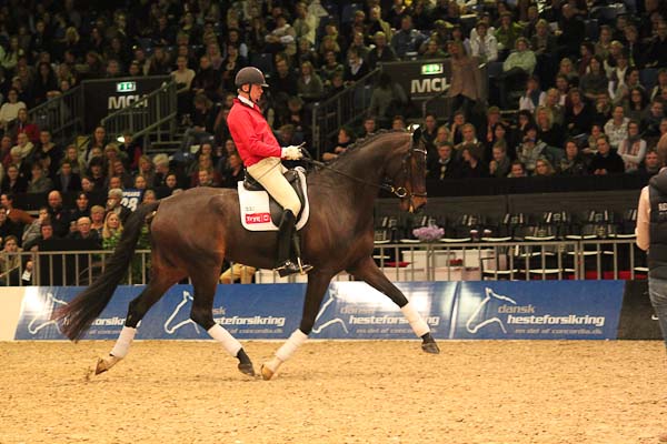 Fina gångartsunghästar