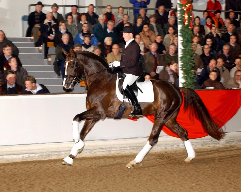 Belissimo M säljs på auktion