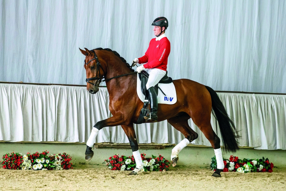 466 000 för Vitalis-son