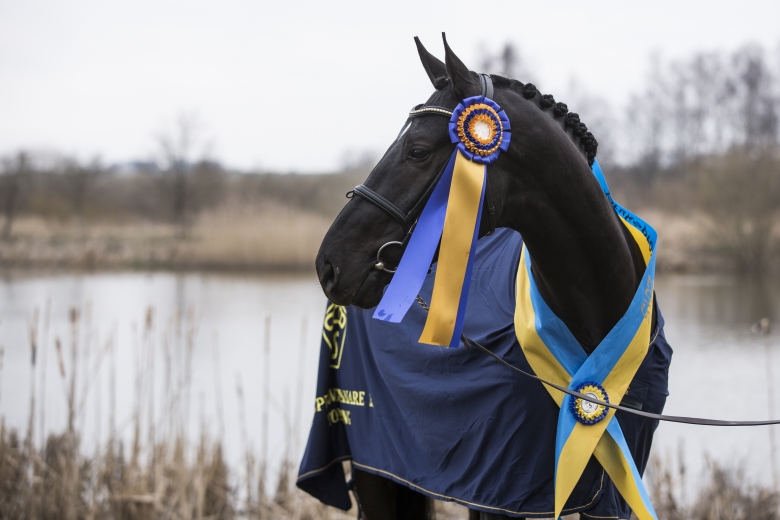 Bruksprovsvinnare död: ”En stor sorg”