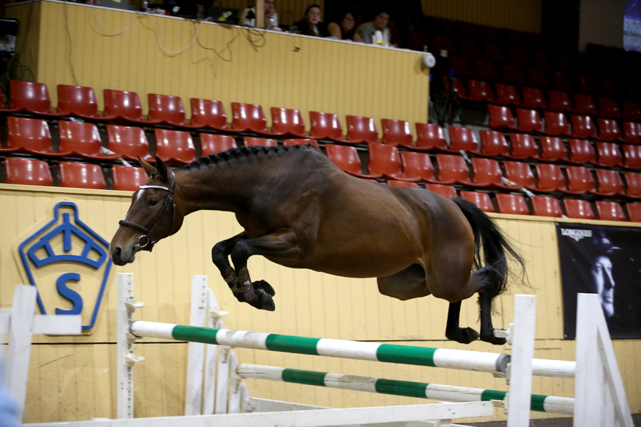 Cincinnati T gick för 350 000