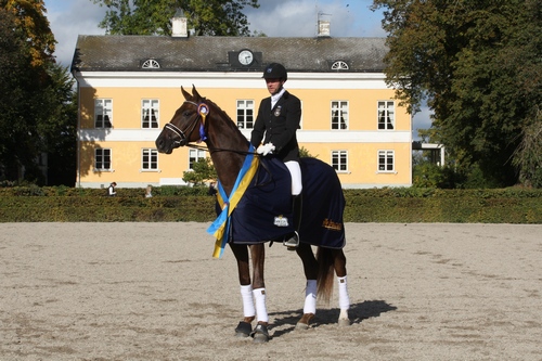 Tolv 3-åringar i final – Springbank VH klar segrare