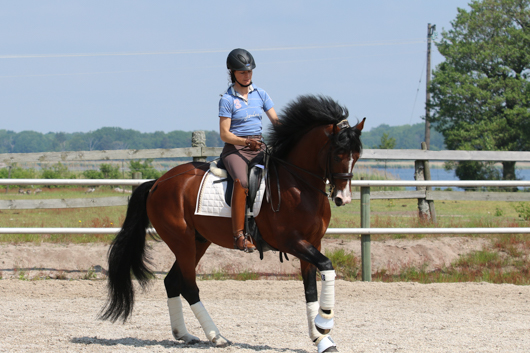 Sibelius i P4 Blekinge