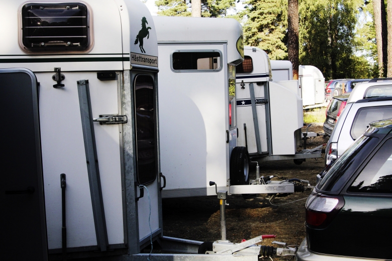 Man döms för bedrägerier med flera hästsläp