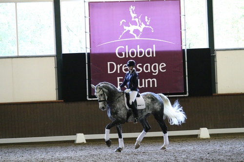 GDF med skandinavisk salut