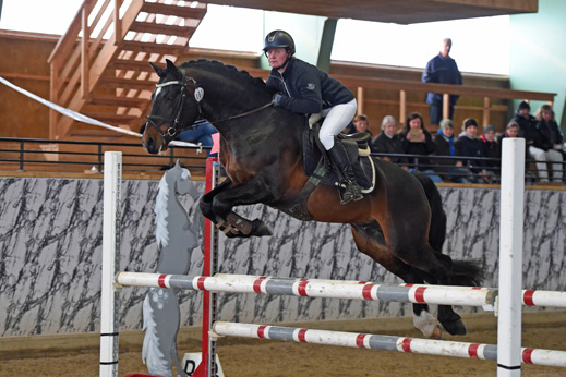 Oklarheter gav få visade connemaror
