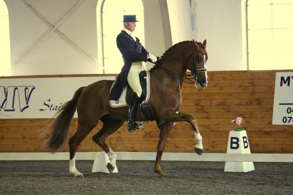 Okeanos såld till EM-medaljör
