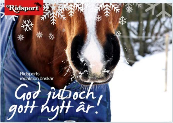 God jul alla hästvänner!