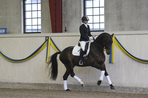 Årets betäckningsstatistik