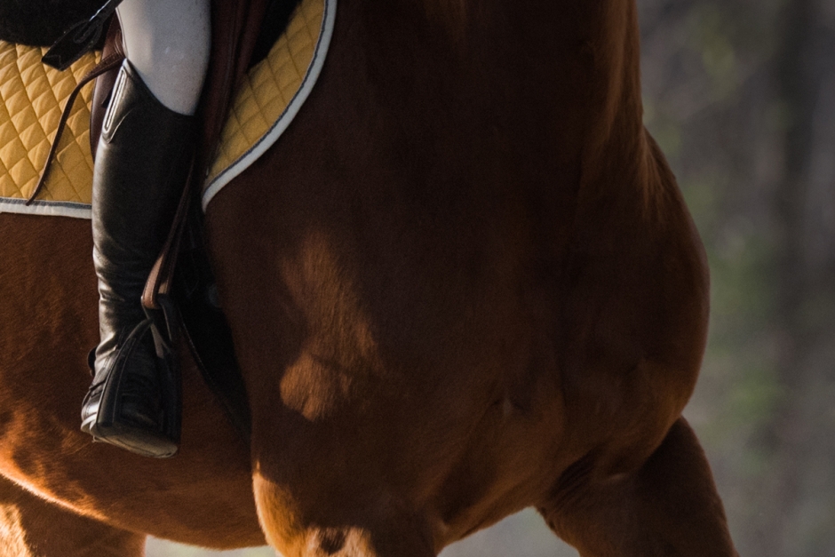 Pilotstudie: Ryttarens vikt påverkar hästen
